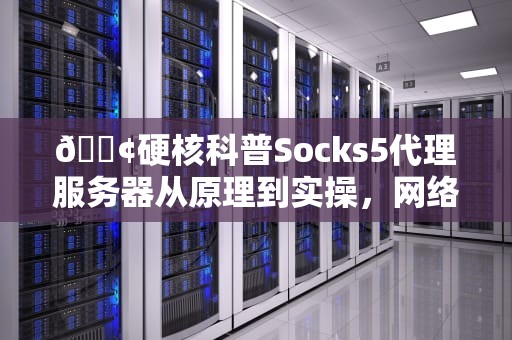 📢硬核科普Socks5代理服务器从原理到实操，网络隐身术到底怎么玩？