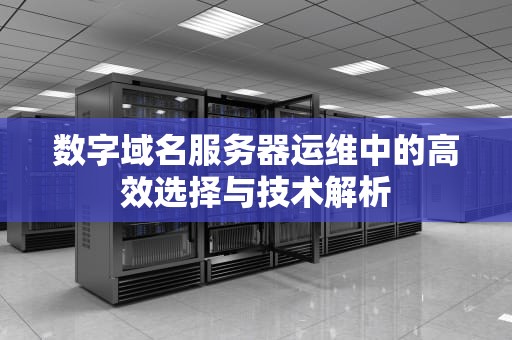 数字域名服务器运维中的高效选择与技术解析
