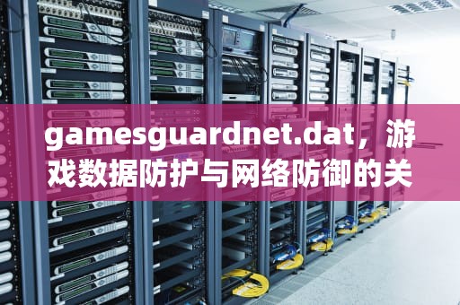 gamesguardnet.dat，游戏数据防护与网络防御的关键