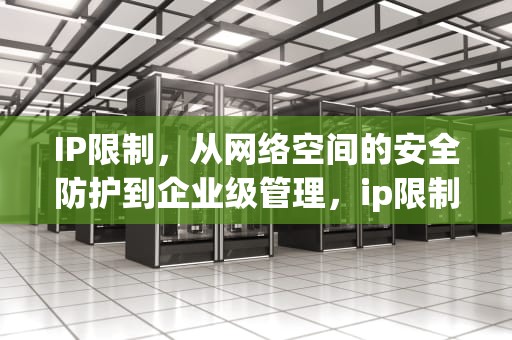 IP限制，从网络空间的安全防护到企业级管理，ip限制什么意思