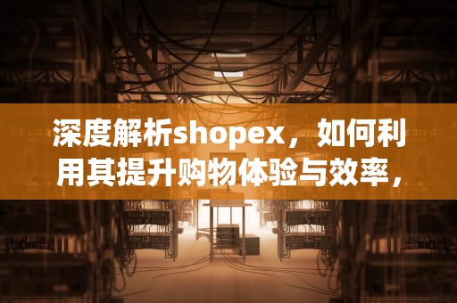 深度解析shopex，如何利用其提升购物体验与效率，ShopeXB2B2C多用户商城