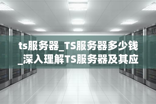 ts服务器_TS服务器多少钱_深入理解TS服务器及其应用