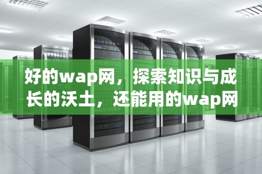 好的wap网，探索知识与成长的沃土，还能用的wap网站