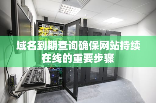 域名到期查询确保网站持续在线的重要步骤