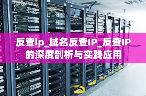 反查ip_域名反查IP_反查IP的深度剖析与实践应用