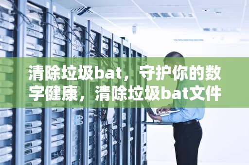 清除垃圾bat，守护你的数字健康，清除垃圾bat文件内容