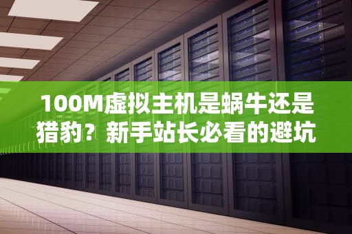 100M虚拟主机是蜗牛还是猎豹？新手站长必看的避坑指南