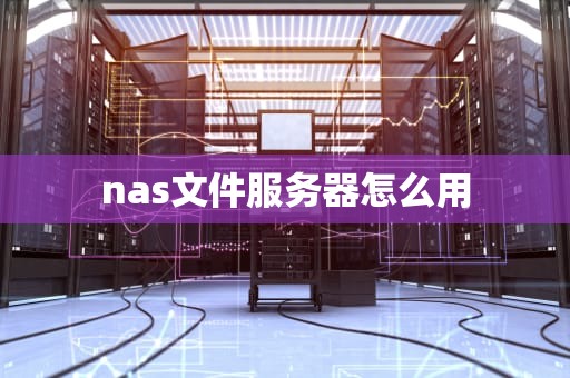 nas文件服务器怎么用