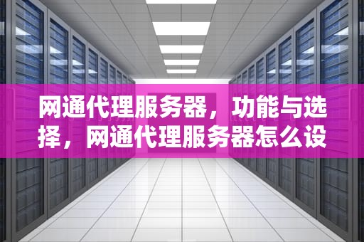 网通代理服务器，功能与选择，网通代理服务器怎么设置