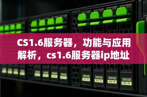CS1.6服务器，功能与应用解析，cs1.6服务器ip地址