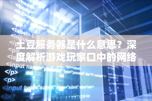土豆服务器是什么意思？深度解析游戏玩家口中的网络噩梦