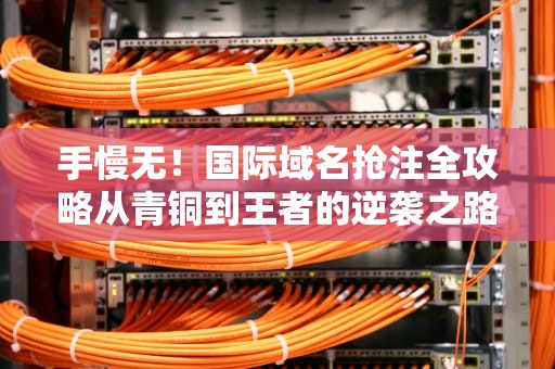 手慢无！国际域名抢注全攻略从青铜到王者的逆袭之路