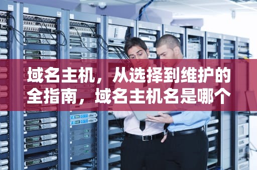 域名主机，从选择到维护的全指南，域名主机名是哪个
