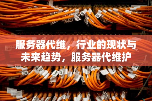 服务器代维，行业的现状与未来趋势，服务器代维护