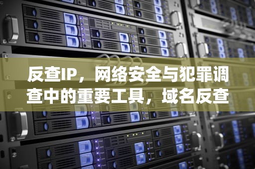 反查IP，网络安全与犯罪调查中的重要工具，域名反查ip