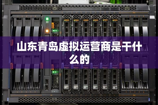 山东青岛虚拟运营商是干什么的