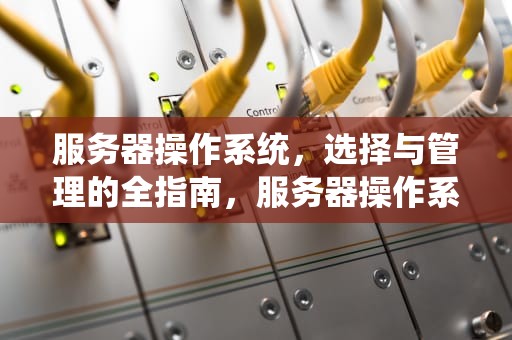 服务器操作系统，选择与管理的全指南，服务器操作系统有哪些