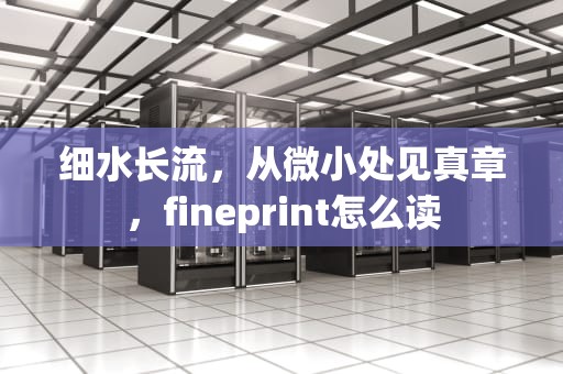 细水长流，从微小处见真章，fineprint怎么读