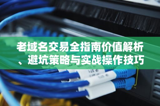 老域名交易全指南价值解析、避坑策略与实战操作技巧