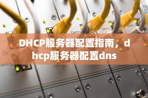 DHCP服务器配置指南，dhcp服务器配置dns