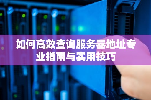 如何高效查询服务器地址专业指南与实用技巧