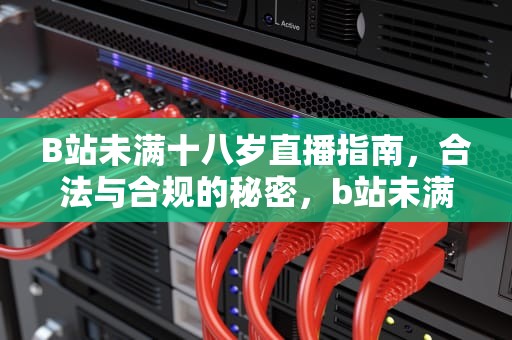 B站未满十八岁直播指南，合法与合规的秘密，b站未满十八岁怎么直播