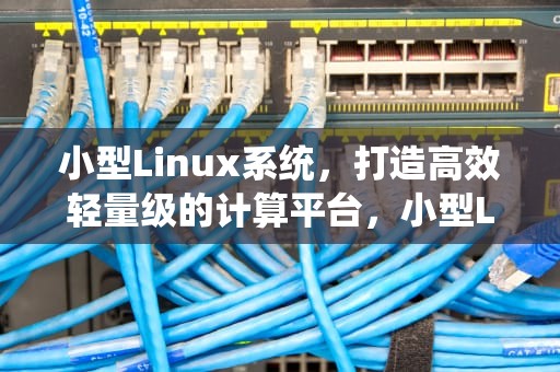 小型Linux系统，打造高效轻量级的计算平台，小型Linux系统