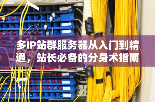 多IP站群服务器从入门到精通，站长必备的分身术指南