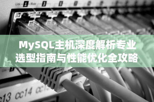 MySQL主机深度解析专业选型指南与性能优化全攻略