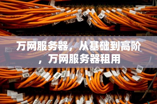 万网服务器，从基础到高阶，万网服务器租用