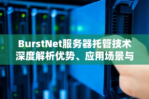 BurstNet服务器托管技术深度解析优势、应用场景与运维指南