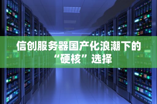 信创服务器国产化浪潮下的“硬核”选择