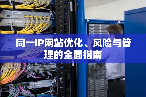 同一IP网站优化、风险与管理的全面指南