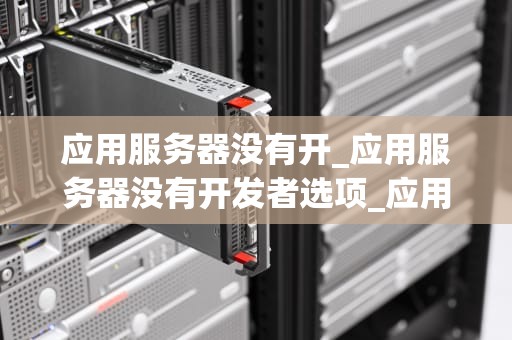 应用服务器没有开_应用服务器没有开发者选项_应用服务器的重要性与开启方法