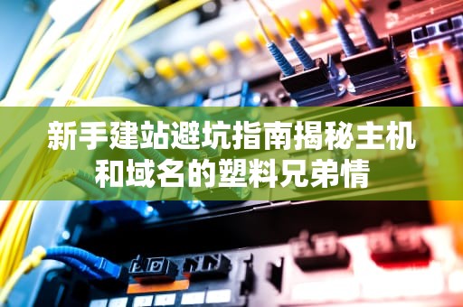 新手建站避坑指南揭秘主机和域名的塑料兄弟情