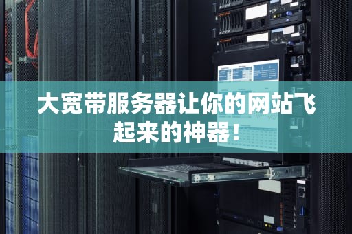 大宽带服务器让你的网站飞起来的神器！