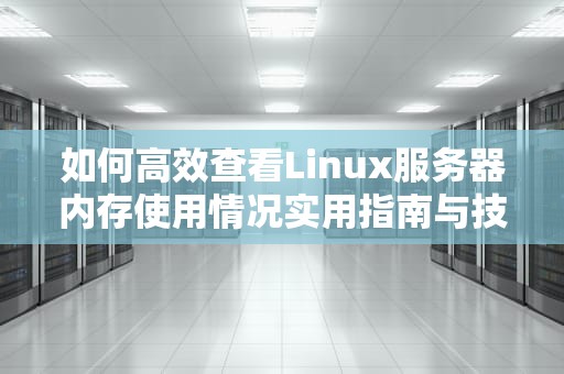 如何高效查看Linux服务器内存使用情况实用指南与技巧