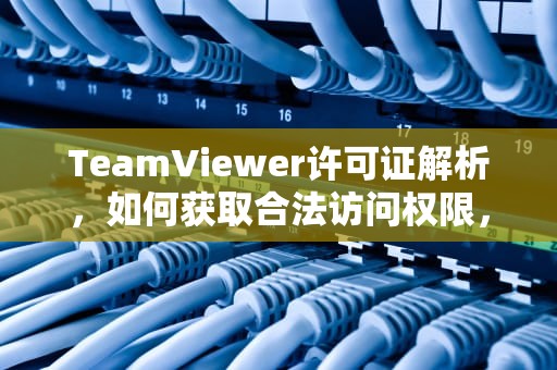 TeamViewer许可证解析，如何获取合法访问权限，teamviewer许可证限制