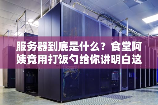 服务器到底是什么？食堂阿姨竟用打饭勺给你讲明白这个烧脑概念