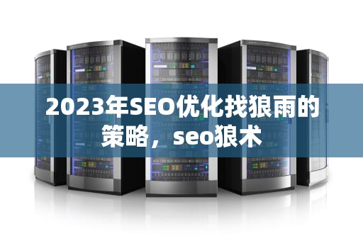 2023年SEO优化找狼雨的策略，seo狼术