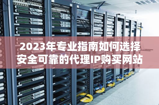 2023年专业指南如何选择安全可靠的代理IP购买网站