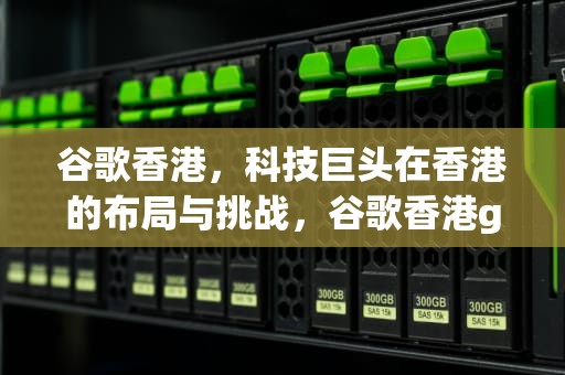 谷歌香港，科技巨头在香港的布局与挑战，谷歌香港google搜索引擎入口
