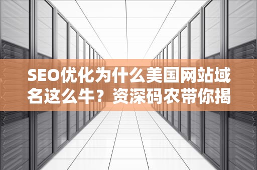 SEO优化为什么美国网站域名这么牛？资深码农带你揭秘背后的数字门牌号玄学！