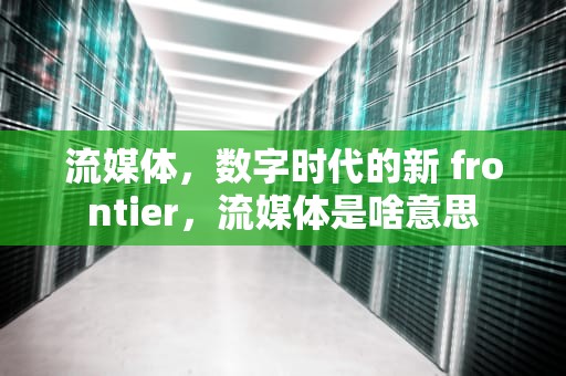 流媒体，数字时代的新 frontier，流媒体是啥意思