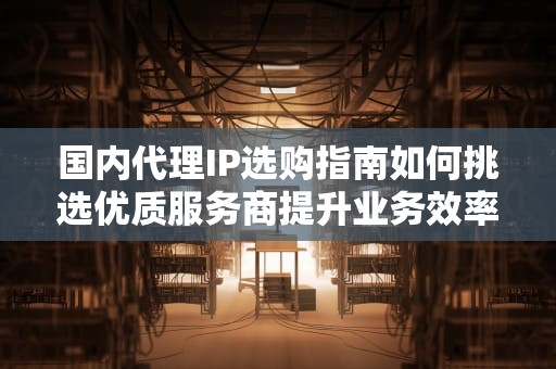 国内代理IP选购指南如何挑选优质服务商提升业务效率？