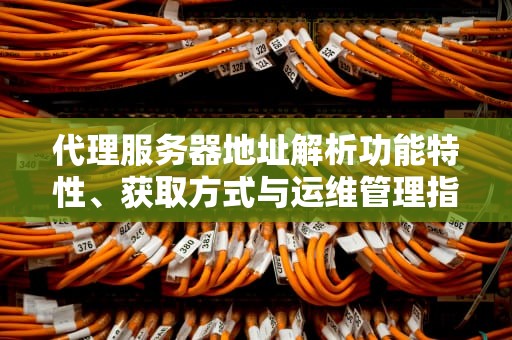 代理服务器地址解析功能特性、获取方式与运维管理指南