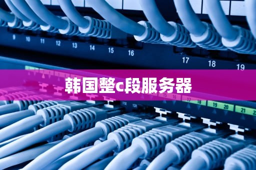 韩国整c段服务器