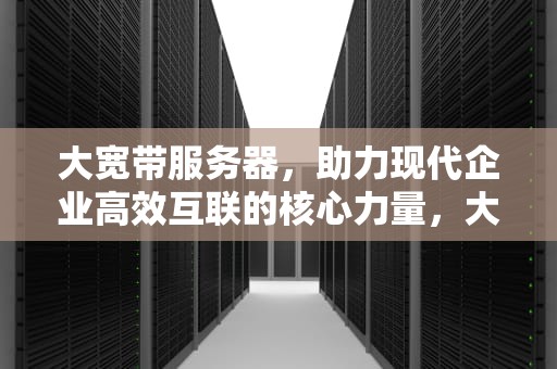 大宽带服务器，助力现代企业高效互联的核心力量，大宽带服务器推荐