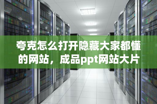 夸克怎么打开隐藏大家都懂的网站，成品ppt网站大片