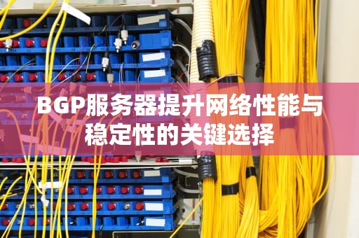 BGP服务器提升网络性能与稳定性的关键选择